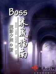 BOSS养成指南