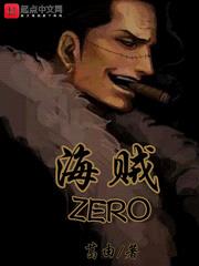 海贼zero是什么身份的人物形象