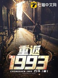 重返1993电视剧多少集